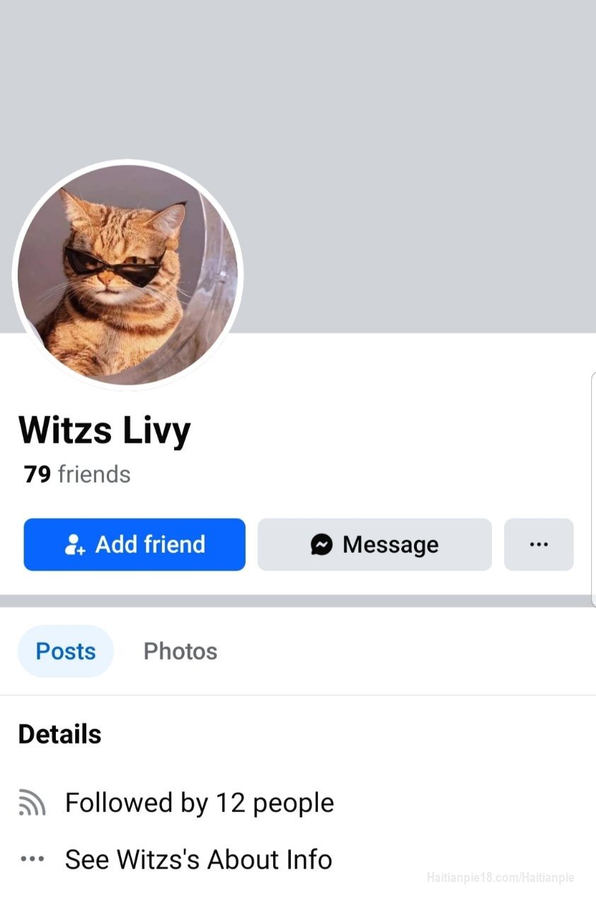 WITZS LIVY FULL ZEN
